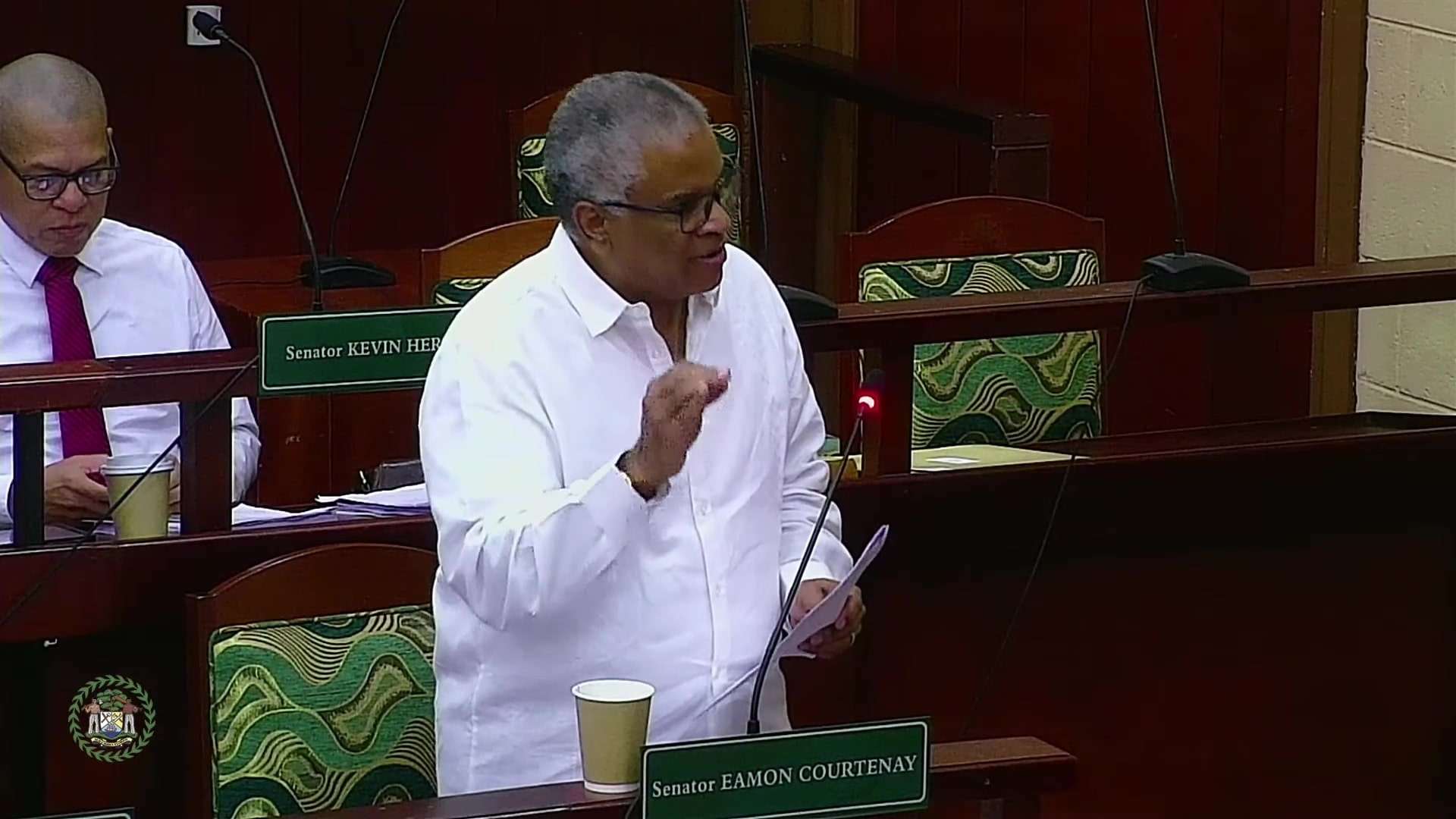 Senate Approves Port Acquisition & Settlement Deeds Bill 2023 for Immediate Belize Port Takeover
