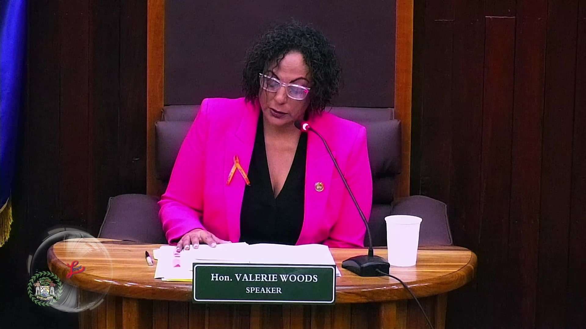 House Speaker Notes Irony of Gender-Based Violence During 16 Days of Activism
