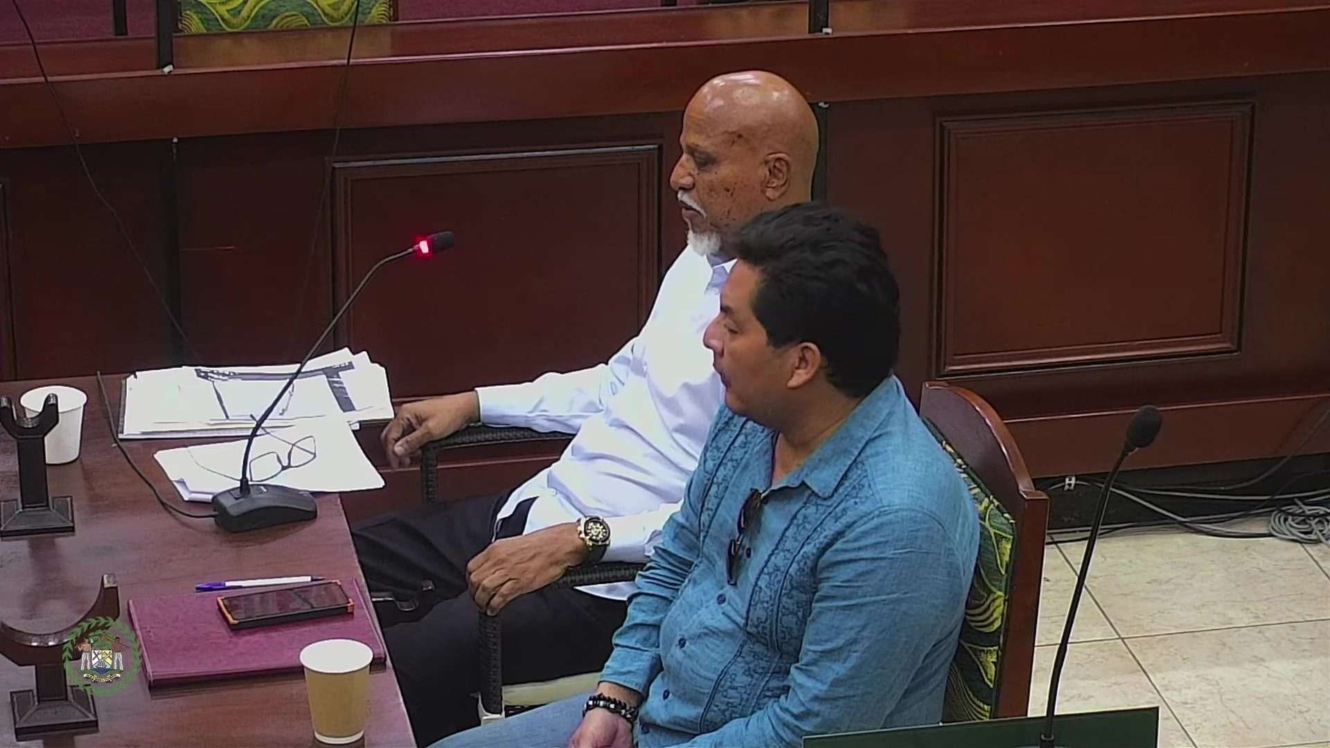 Deputy PM Hyde Speaks on Senate Select Committee Proceedings