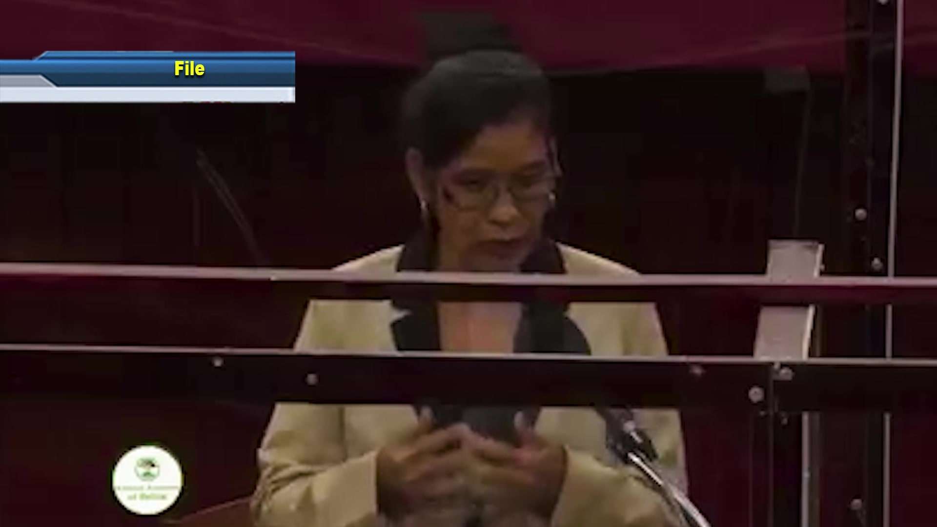Senator Smith resigns from the Senate