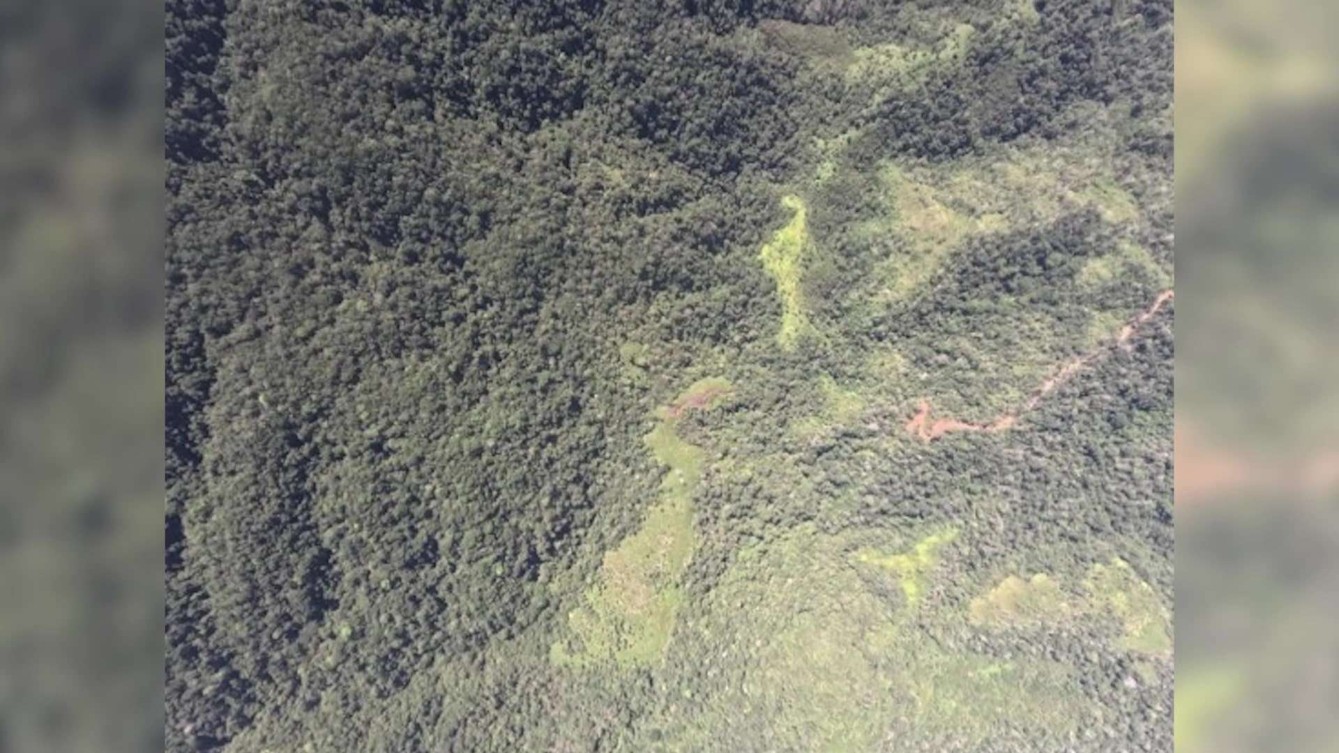 Belize Territorial Volunteers Demand Action Over Illegal Road in Chiquibul National Park