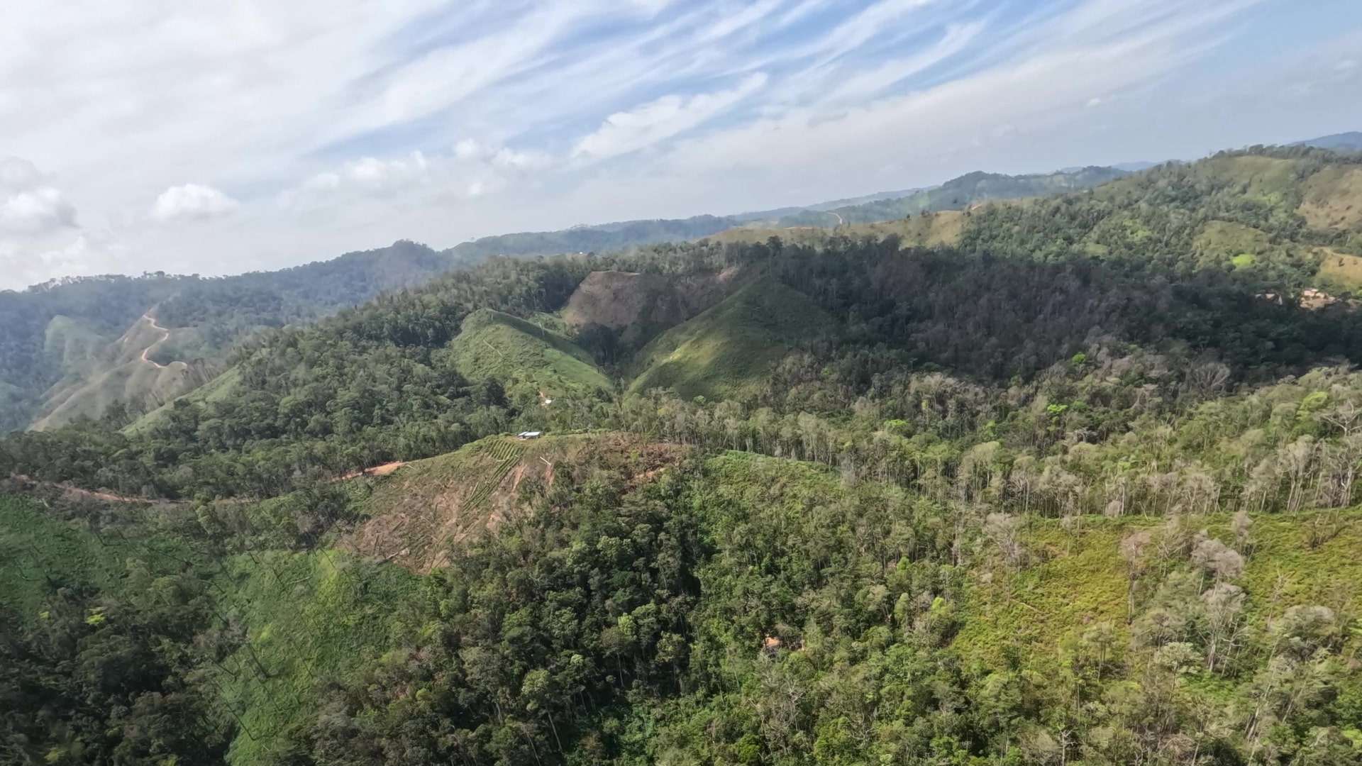 Chiquibul National Park Shows Signs of Recovery, says FCD