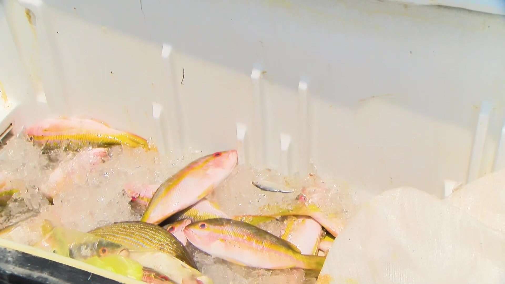Belizeans Rush to Stock Up on Fish for Good Friday Tradition
