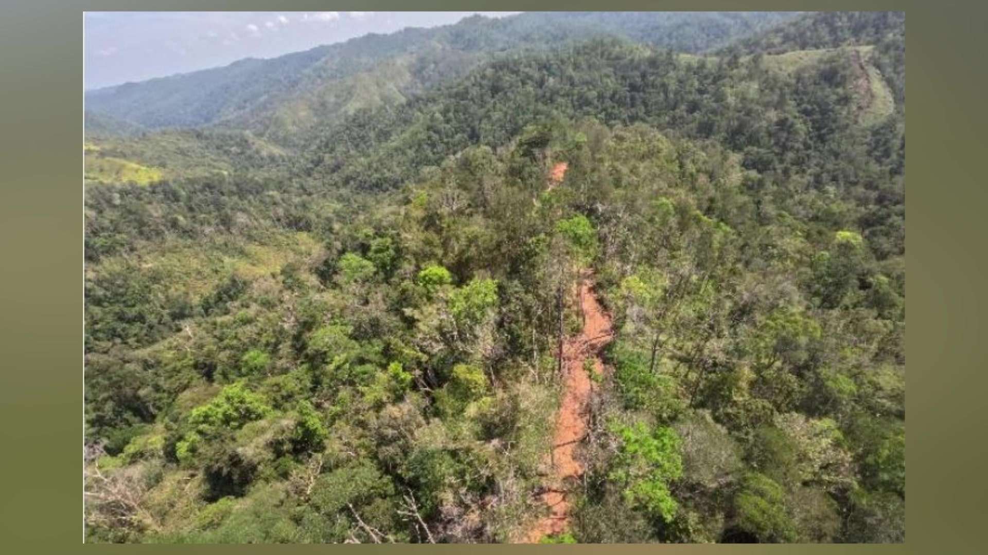 Illegal Road Discovered in Columbia River Forest Reserve Raises Concerns
