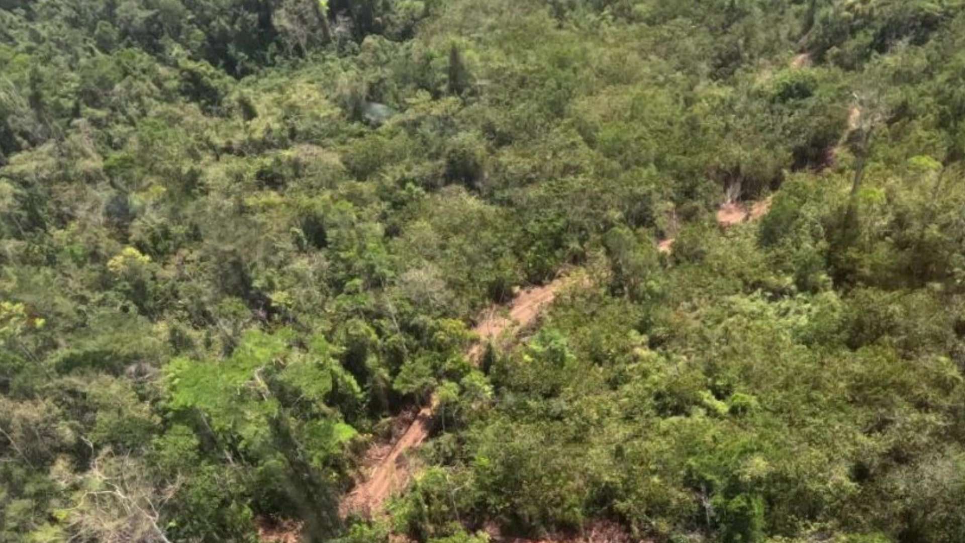 Government Takes Action Against Illegal Roads from Guatemala