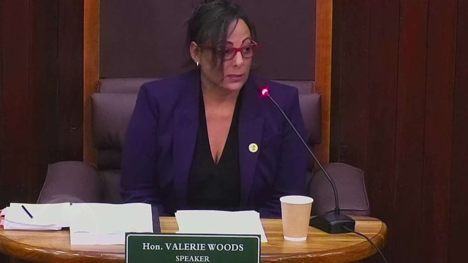 House Speaker Valerie Woods Commemorates International Women’s Day in House of Representatives