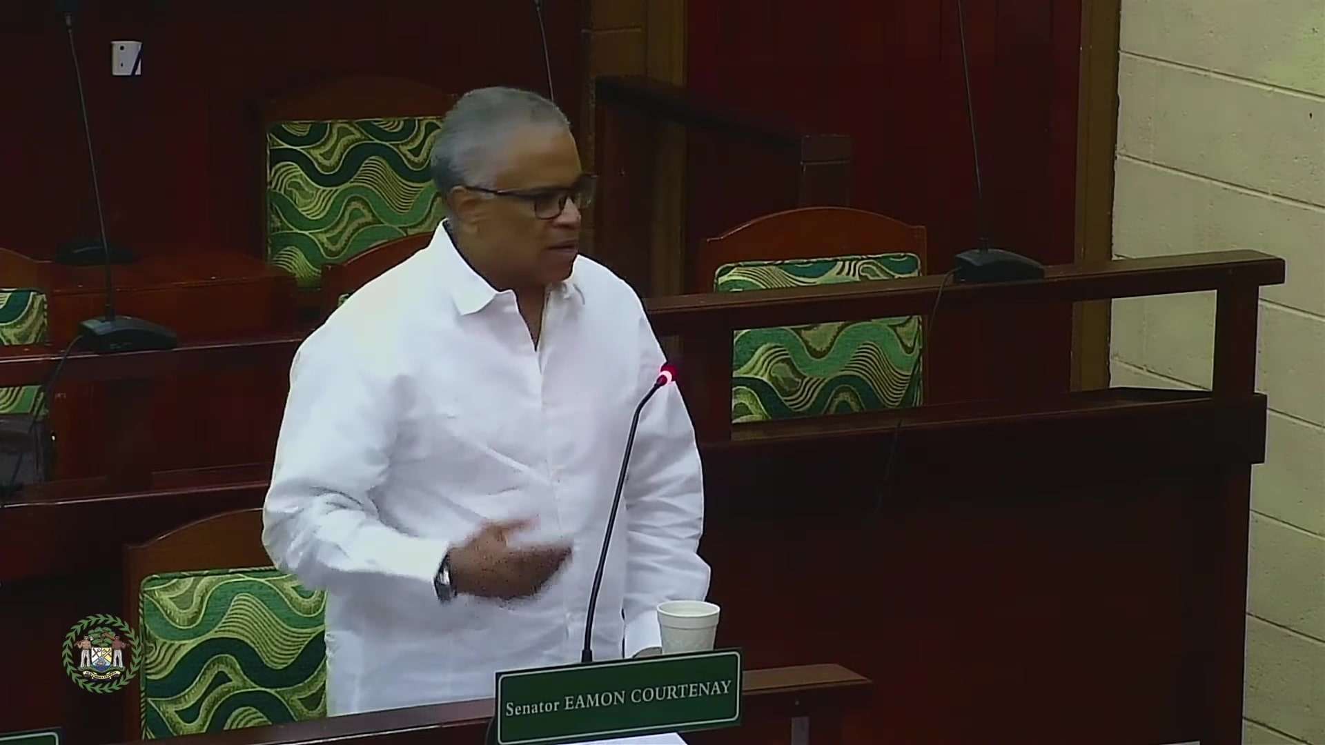 Historic Achievement: Belize Ratifies UN Ocean Biodiversity Agreement