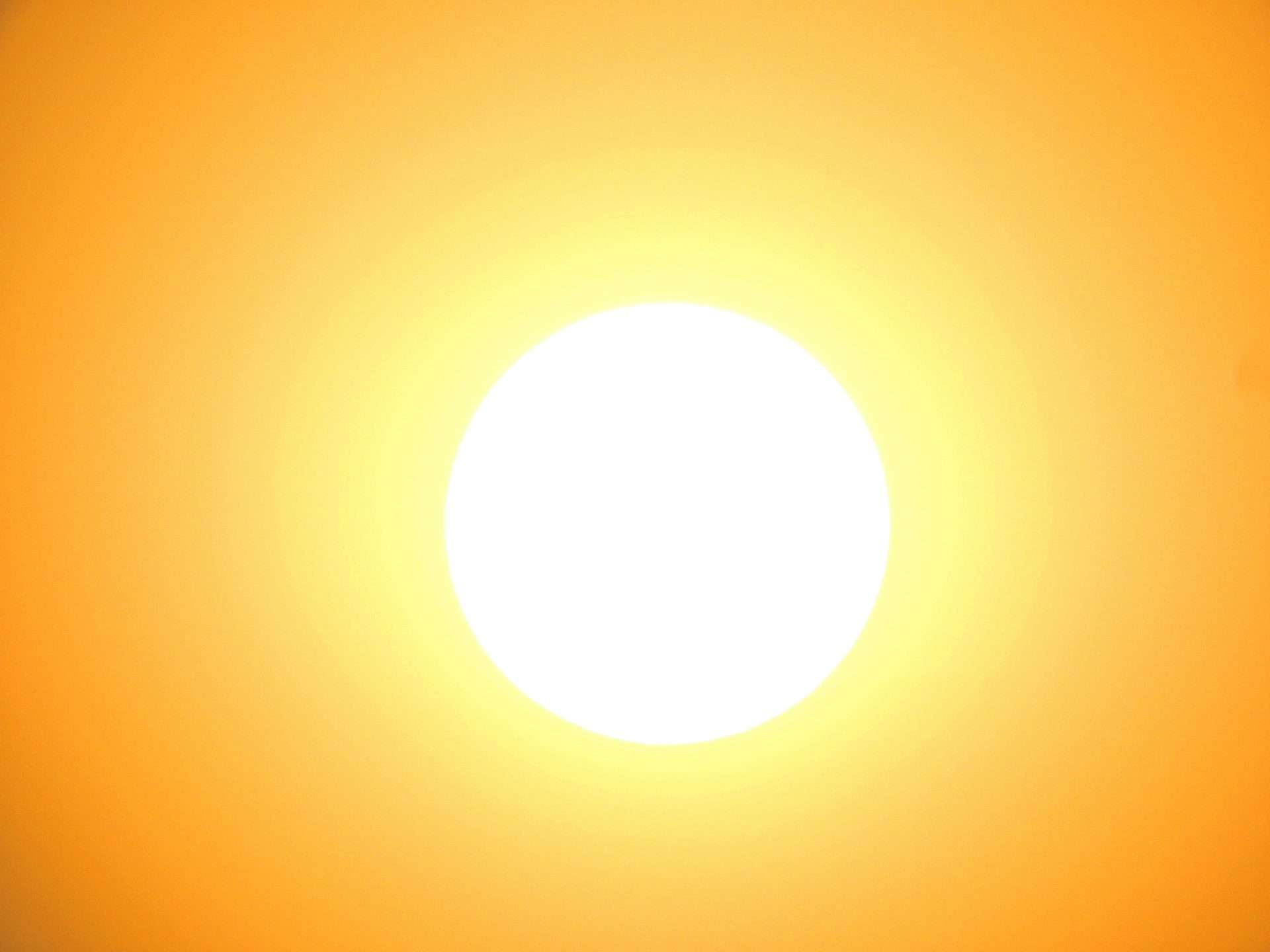 Heat Alert Issued by Meteorological Service: Public Advised to Stay Hydrated