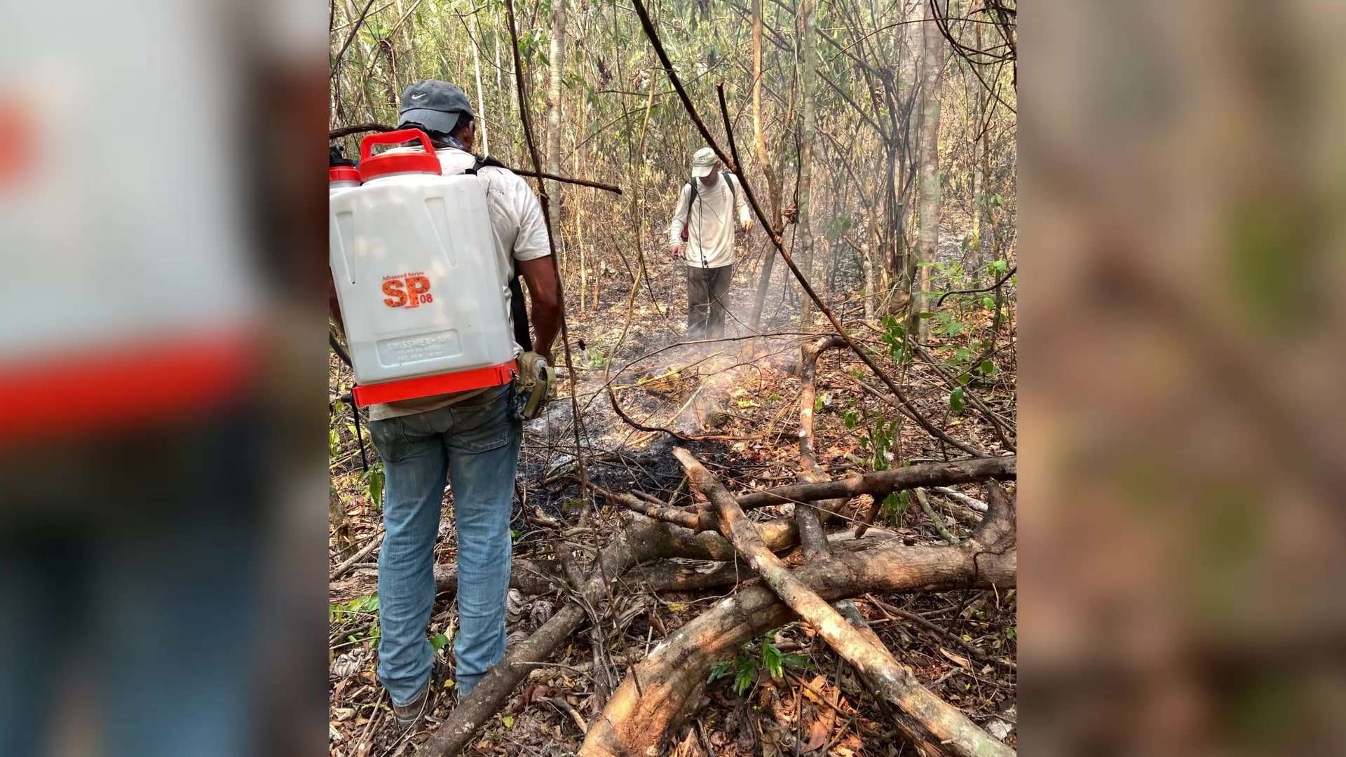 Health Officials Prepare for Water Contamination Risks Post-Wildfires