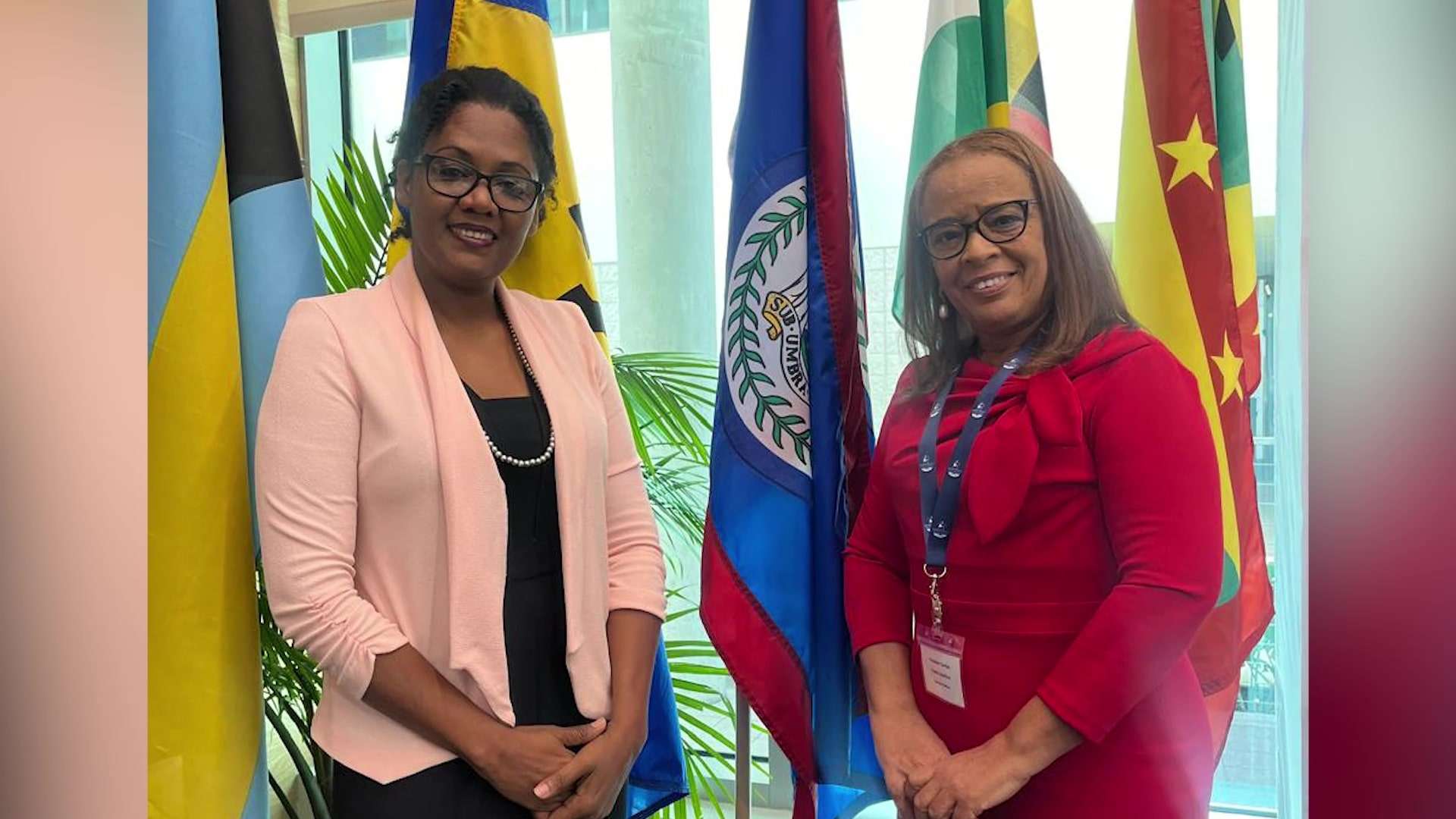 Senators Return from Miami Conference on Digital Transformation in the Caribbean