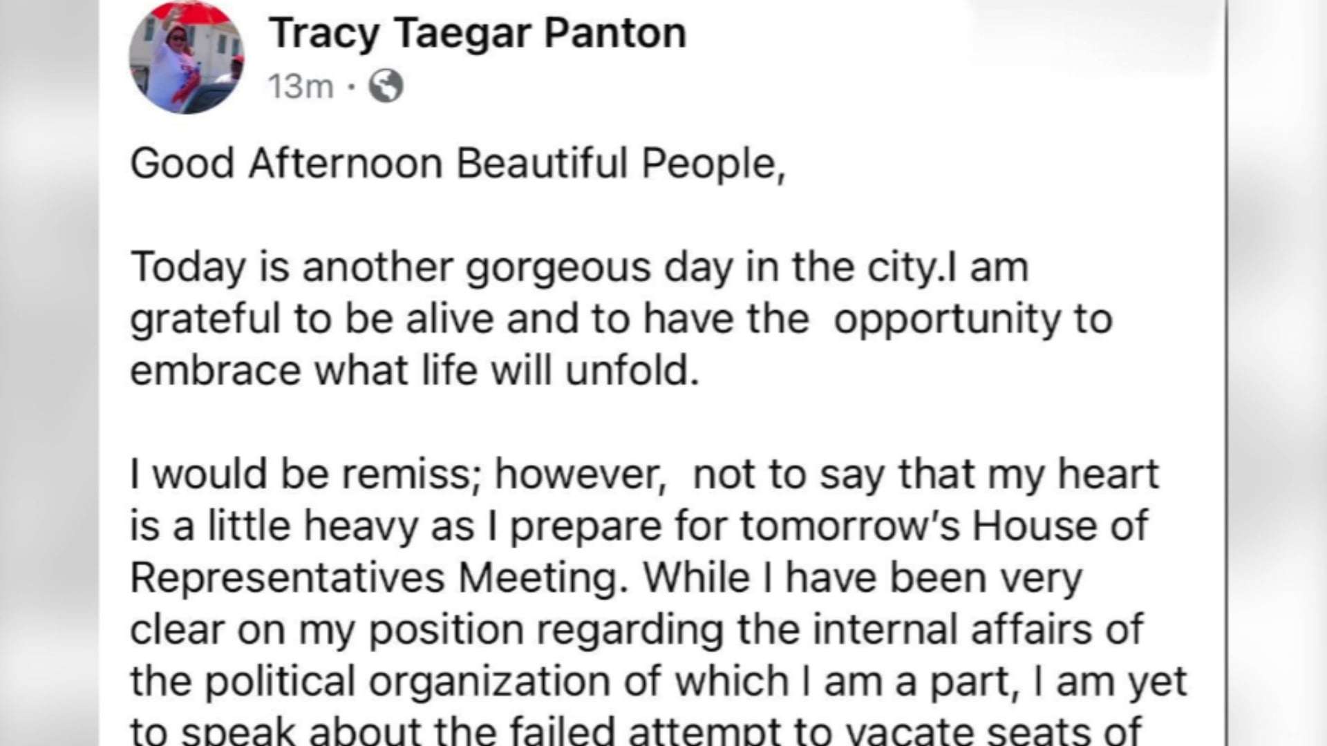 Tracy Panton Claims Victory in Opposition Dispute, Calls Out UDP Leader’s Tactics