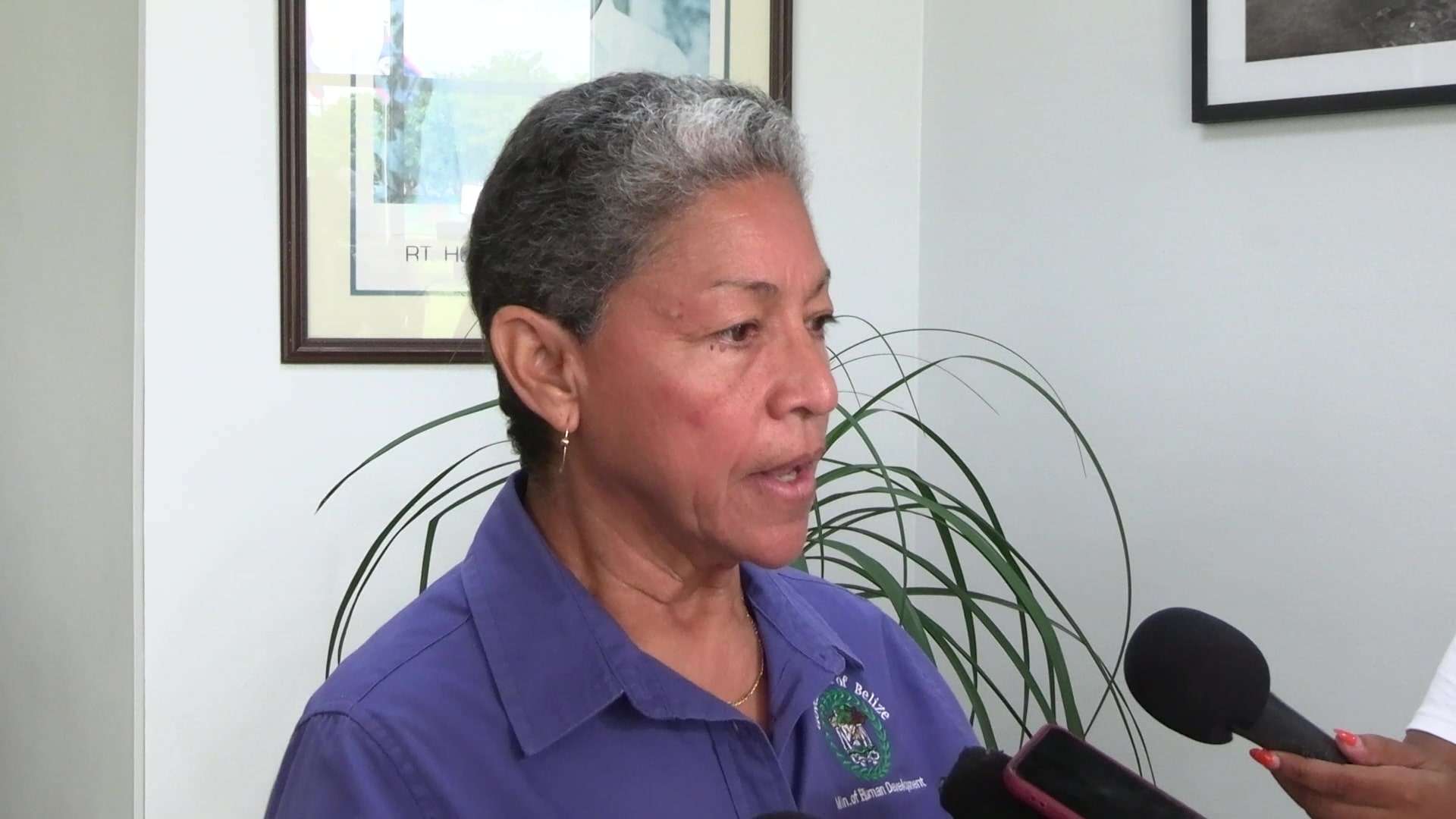 Maya Land Rights Policy One Step Closer to Implementation, Following Cabinet Discussion