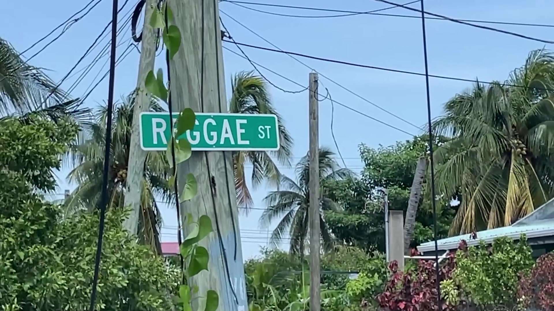 Man Stabbed to Death Near His Home in Belize City
