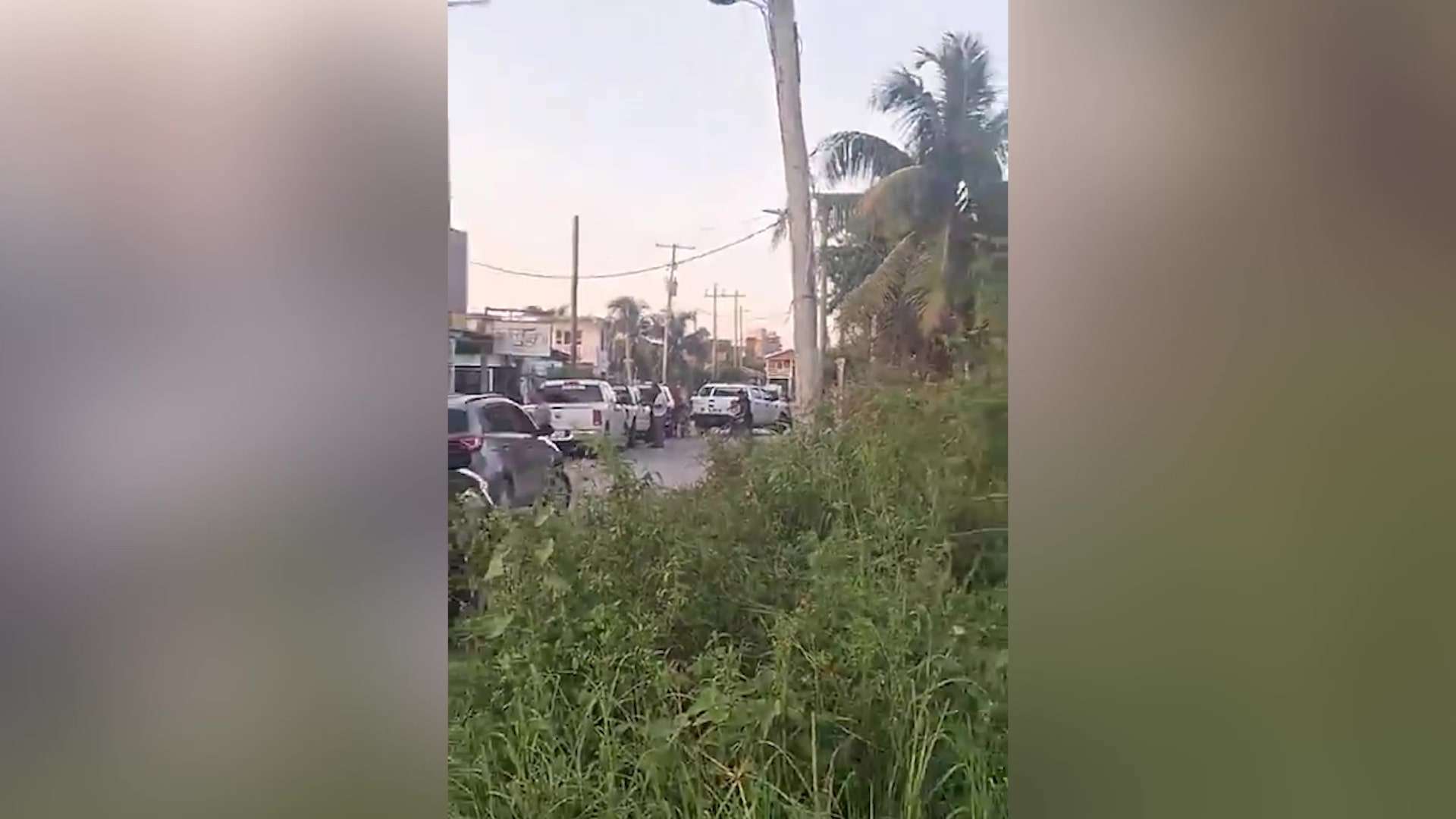 Belize City Business Raid Yields Guns, Drugs, and Fraudulent Immigration Documents