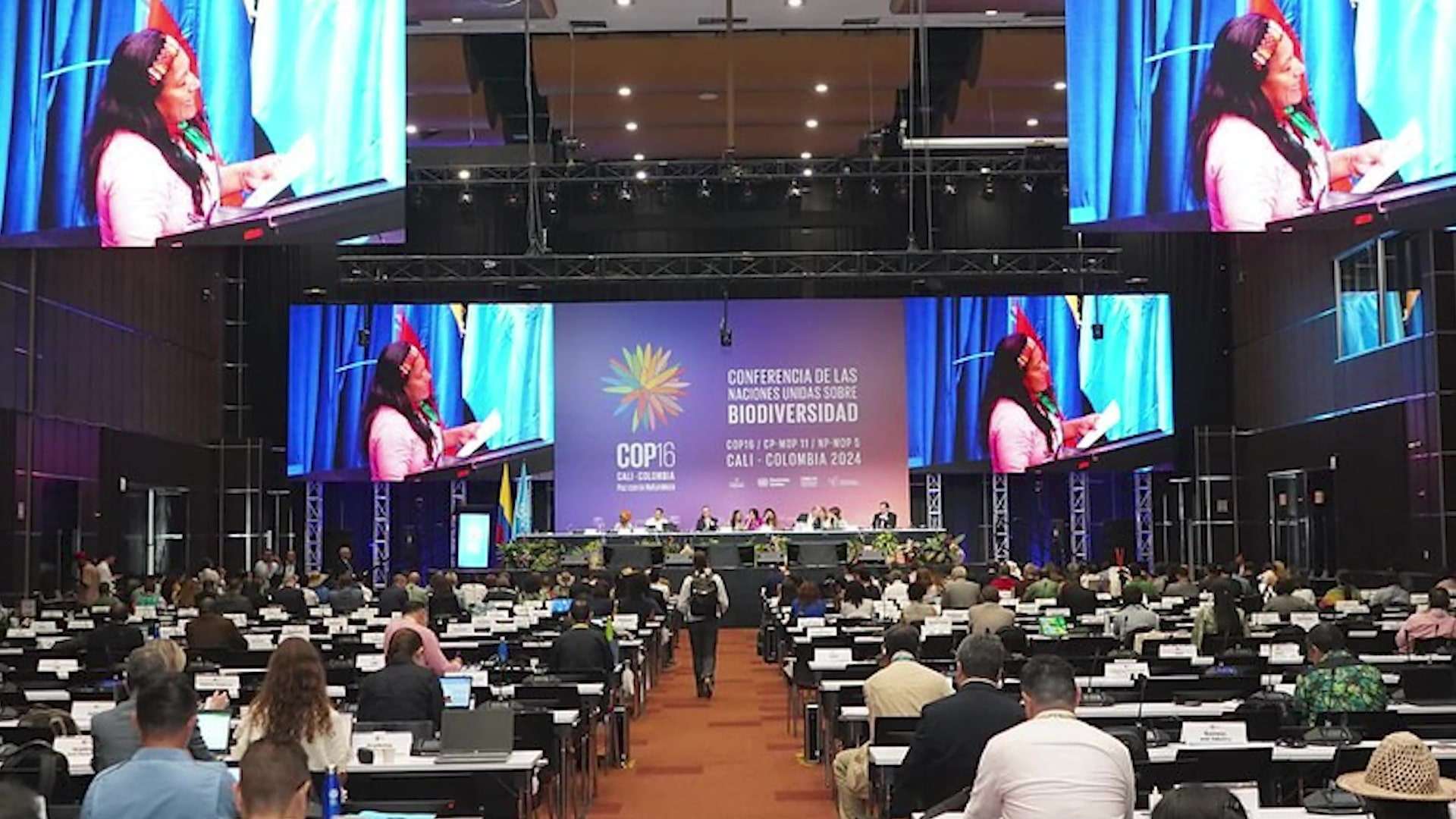 Minister of Sustainable Development Defends COP 16 Despite Falling Short of Key Funding Targets