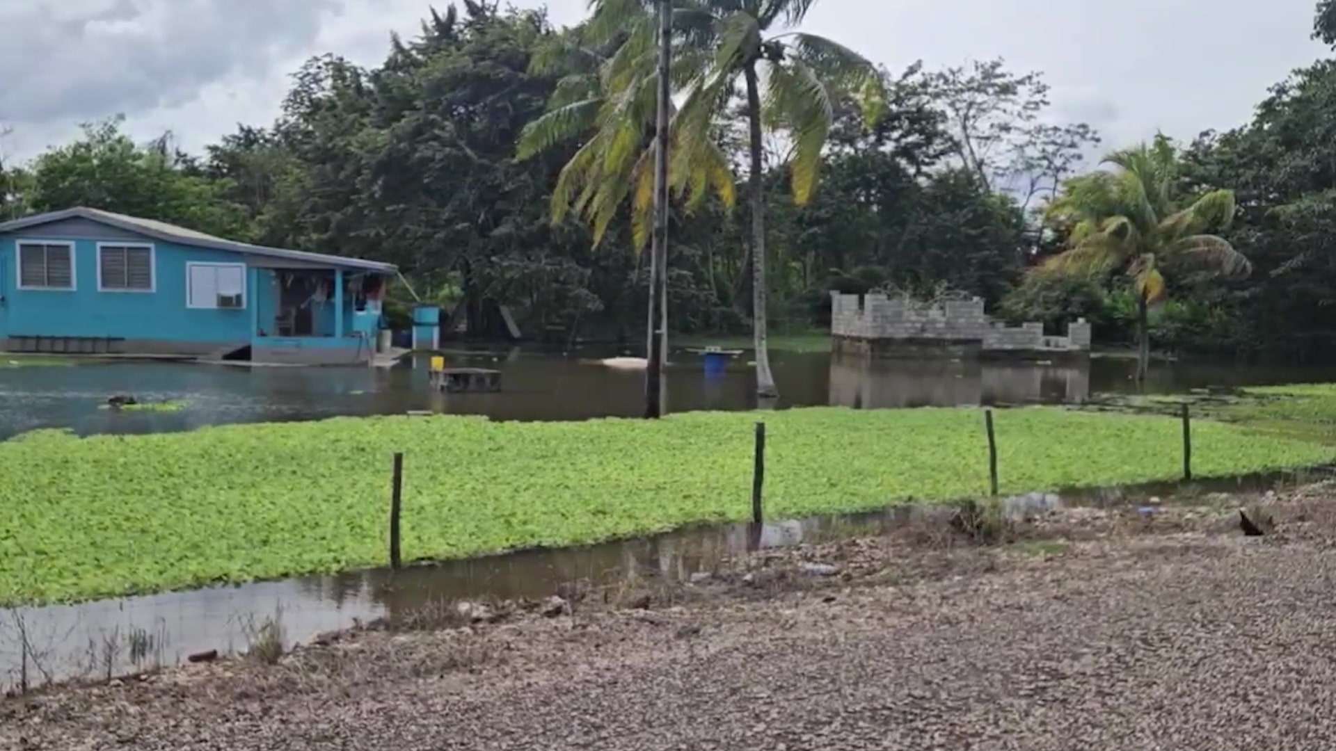 Flooding in Belize Rural North Displaces Families and Cuts Off Communities