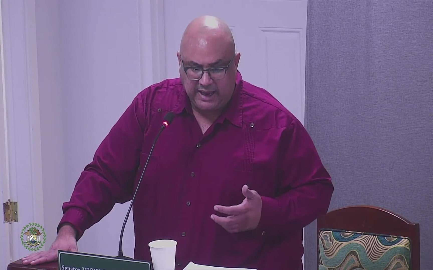 Senate Discusses National Symbols Bill, Raises Concerns Over Licensing Requirements