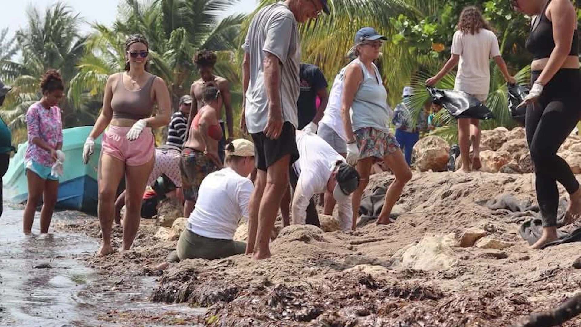 Blue Economy Sees Collaboration As Tool To Combat Coastal Erosion
