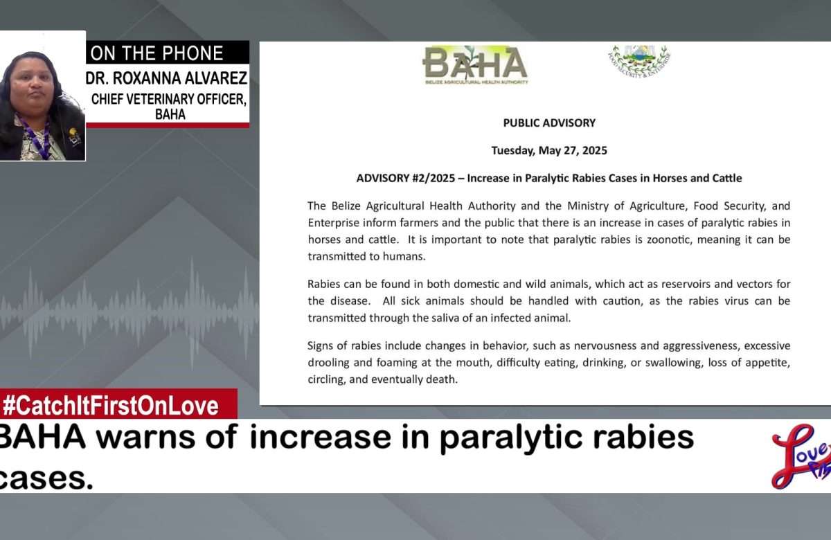 BAHA Warns of Deadly Rabies Outbreak in Livestock