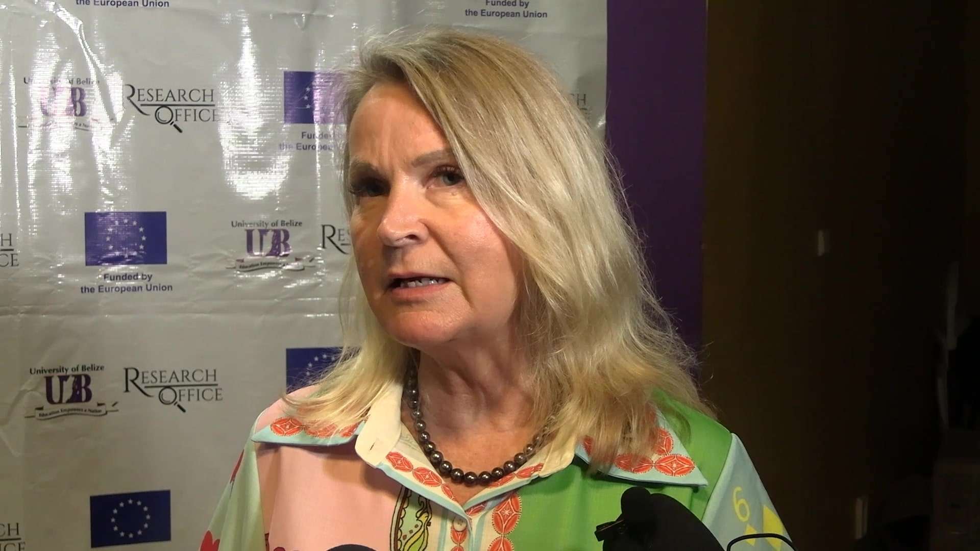 EU Visa Waiver for Belizeans Not Happening Anytime Soon, Says Ambassador