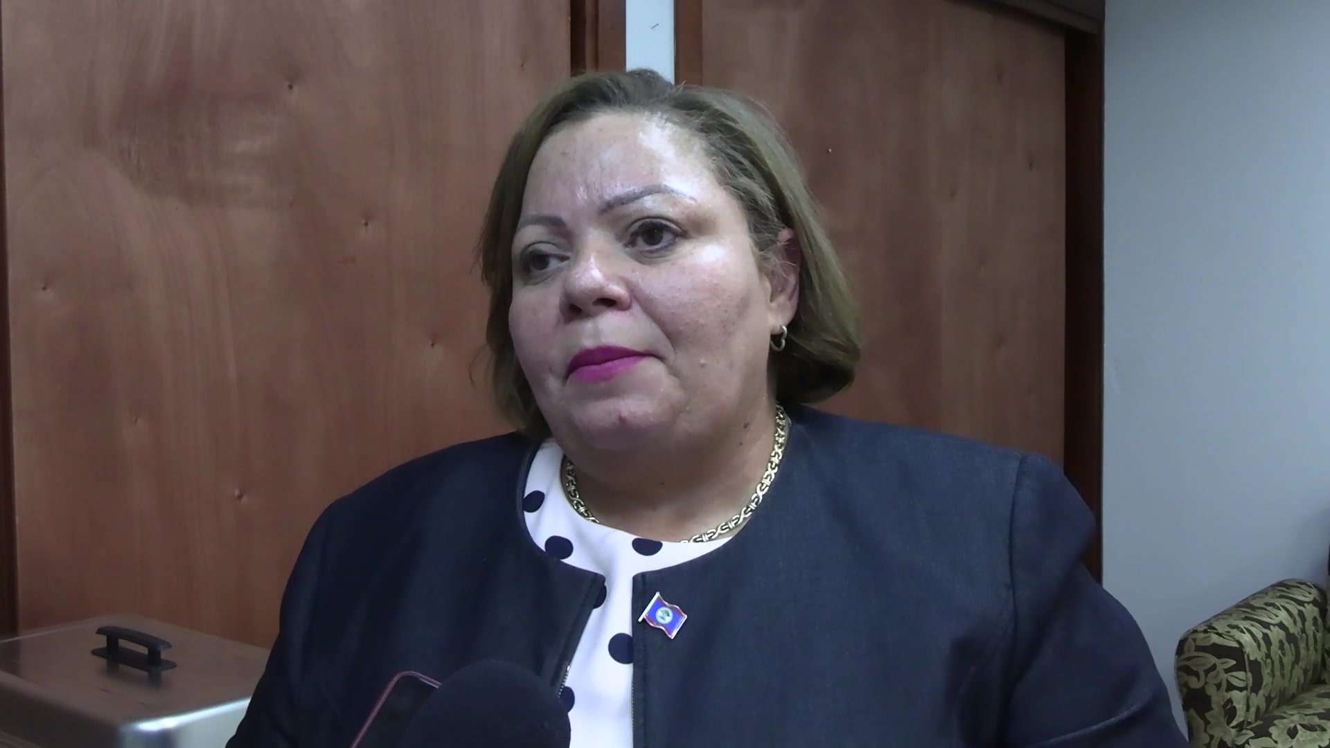 Opposition Calls for Scrutiny of Controversial Amendment Bill