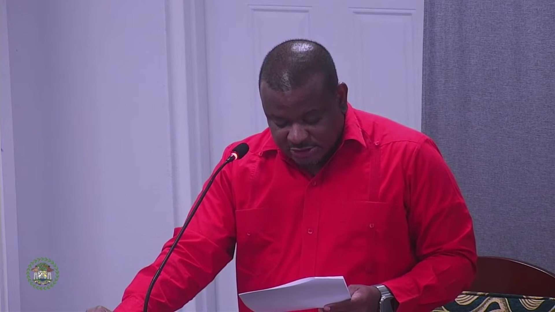 Senate Debates Belize’s Role in Global Trade Rules