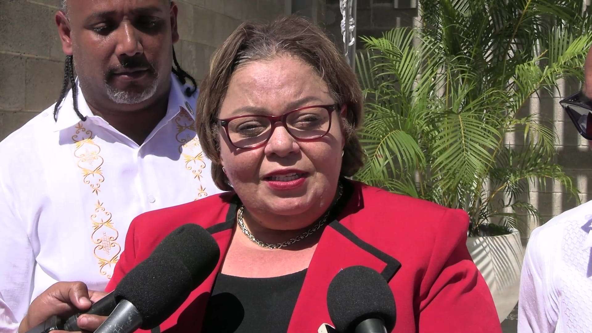Tracy Panton Accuses PM of Politicizing BTL Acquisition Process