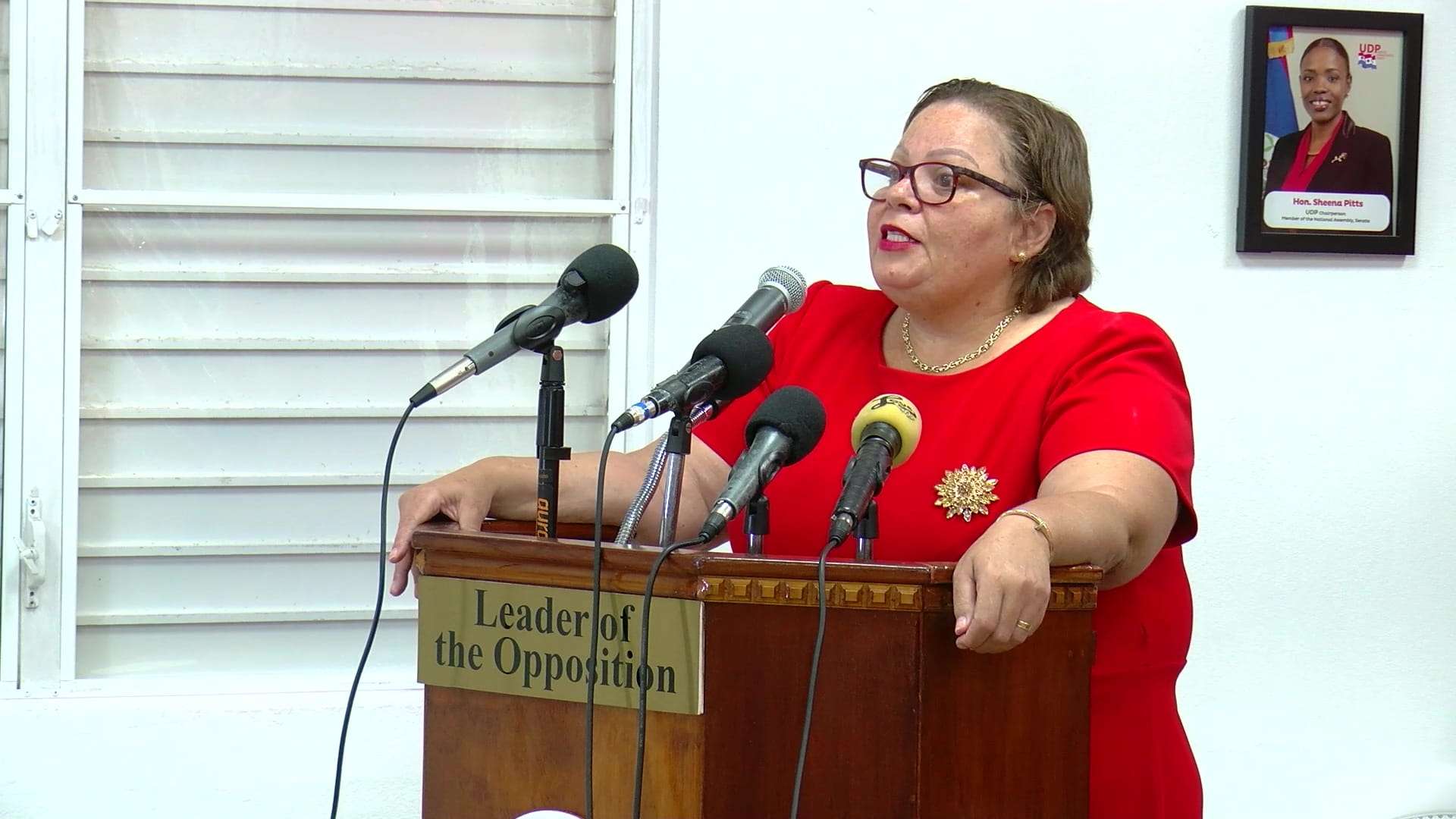UDP Slams Briceño Administration Over Crime, Prices and Corruption