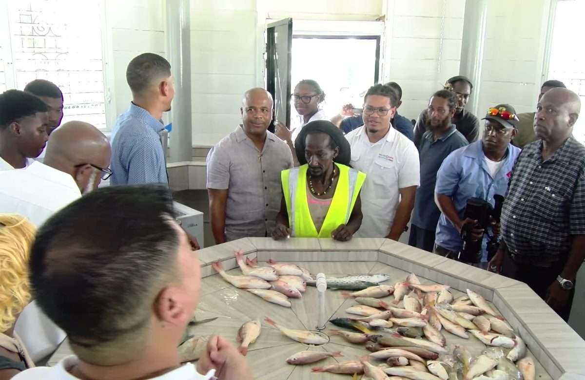 Yabra Fish Market Launch Gives Fishermen New Economic Lifeline