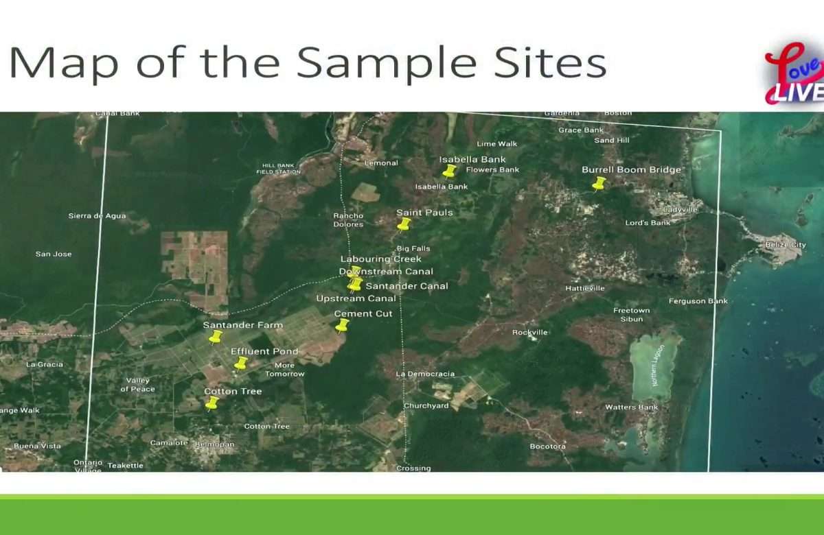 Environmental groups flag drainage canals as a major factor in the fish-kill
