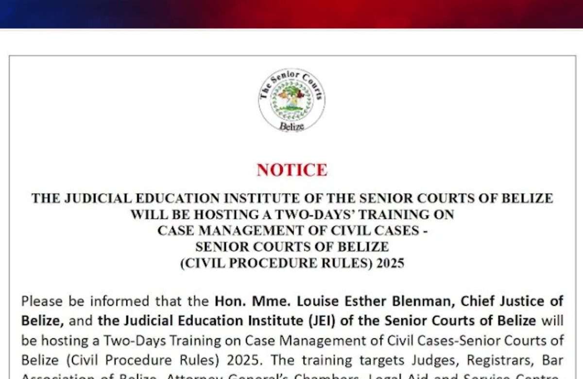 High Court, Court of Appeal Hearings to Pause for Civil Case Management Training